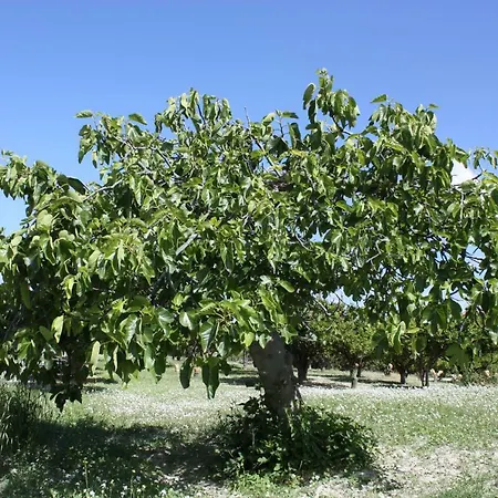 Le Zagare * Villafranca Tirrena