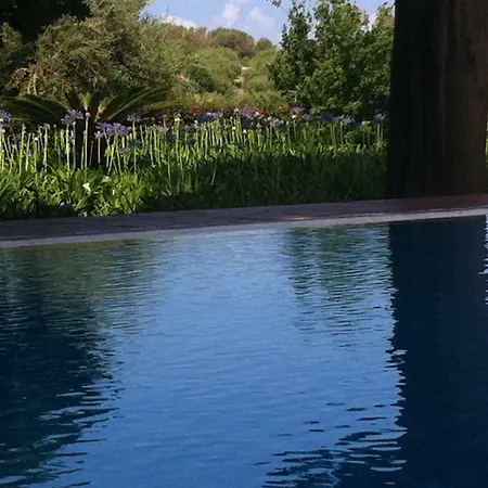 Le Zagare Villafranca Tirrena
